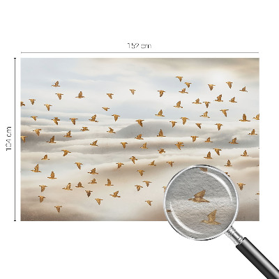 Moderná fototapeta Vtáky za letu