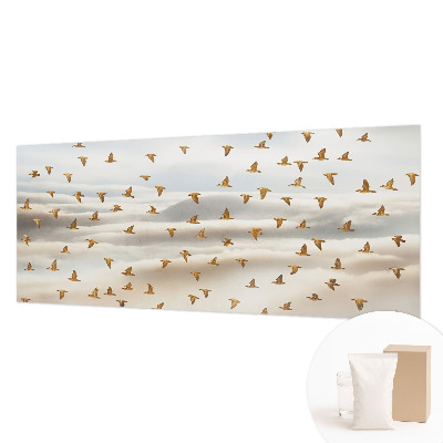 Moderná fototapeta Vtáky za letu