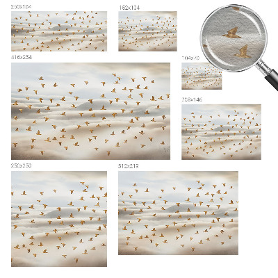 Moderná fototapeta Vtáky za letu