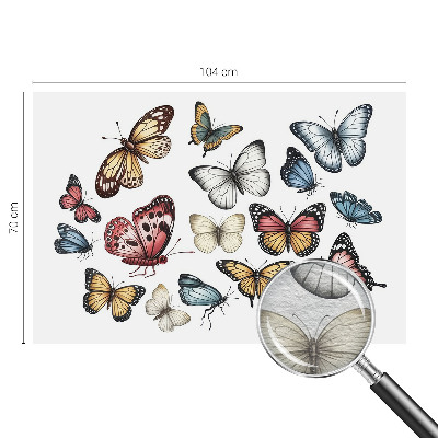 Fototapeta na mieru do spálne Rajské motýle