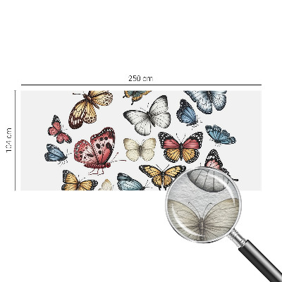 Fototapeta na mieru do spálne Rajské motýle