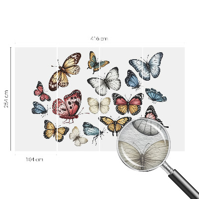 Fototapeta na mieru do spálne Rajské motýle