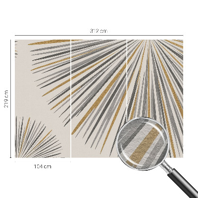 Tapeta na stenu Geometrické vejáre