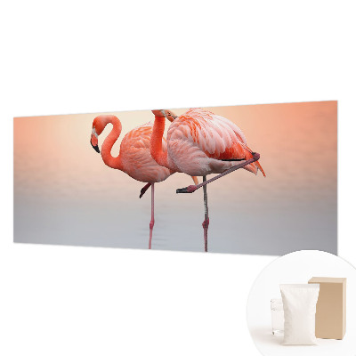 Fototapeta Jemné plameniaky