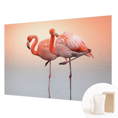 Fototapeta Jemné plameniaky