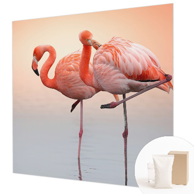 Fototapeta Jemné plameniaky