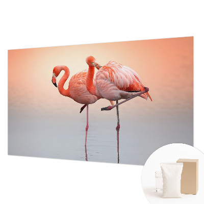 Fototapeta Jemné plameniaky