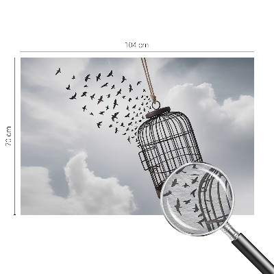 Moderná fototapeta Lietajúce vtáky