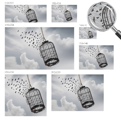 Moderná fototapeta Lietajúce vtáky