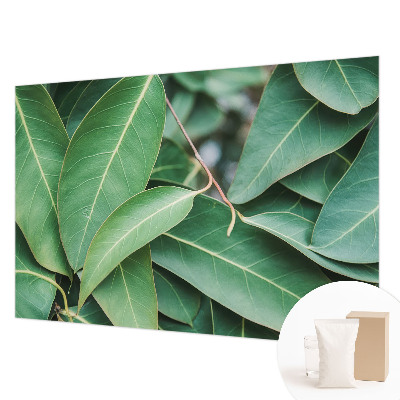 Vliesová fototapeta Zelené listy