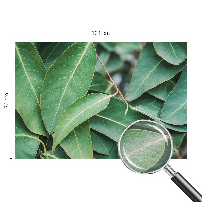 Vliesová fototapeta Zelené listy