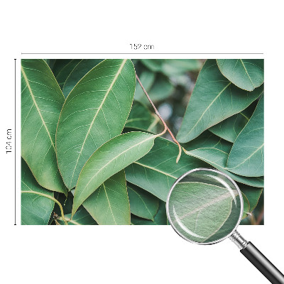 Vliesová fototapeta Zelené listy