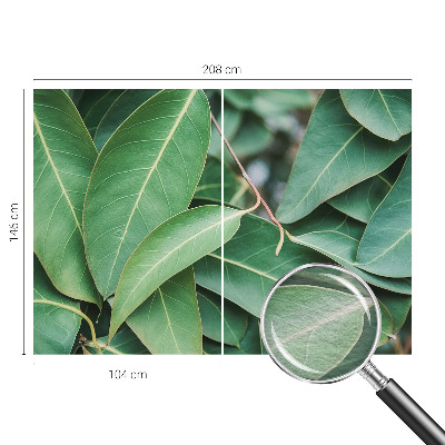 Vliesová fototapeta Zelené listy