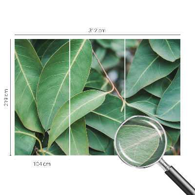 Vliesová fototapeta Zelené listy