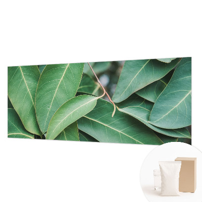 Vliesová fototapeta Zelené listy