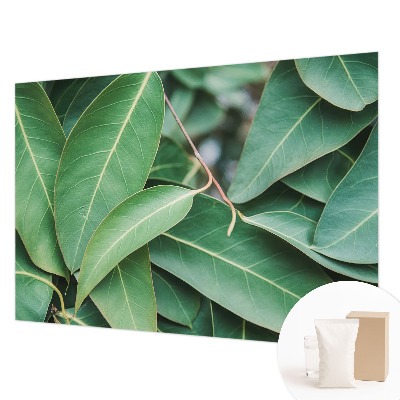 Vliesová fototapeta Zelené listy