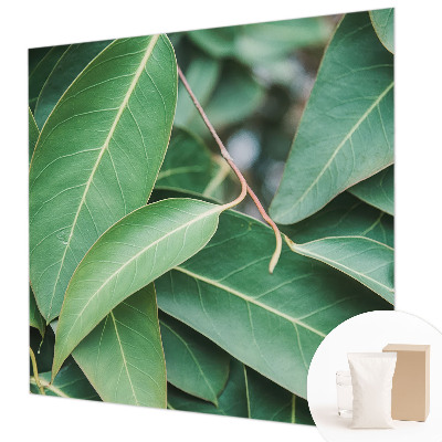 Vliesová fototapeta Zelené listy