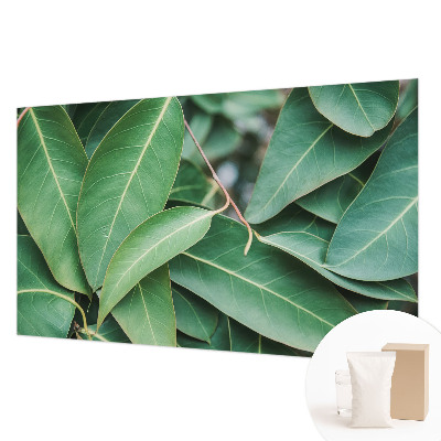 Vliesová fototapeta Zelené listy