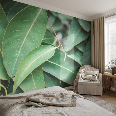 Vliesová fototapeta Zelené listy