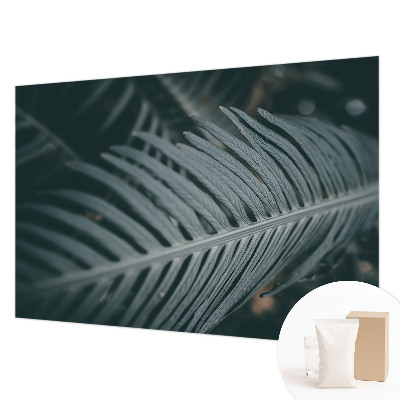 Fototapeta na mieru Zelený list