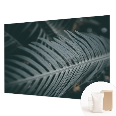 Fototapeta na mieru Zelený list