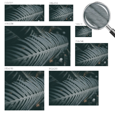 Fototapeta na mieru Zelený list