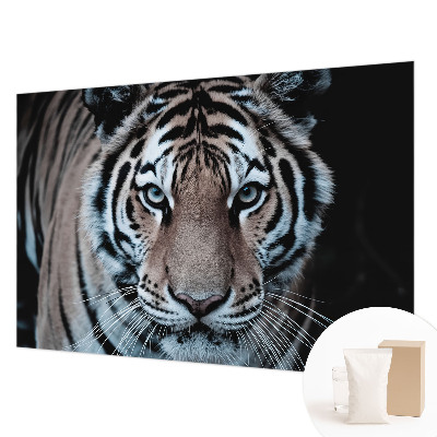 Fotografická tapeta vliesová Portrét tigra