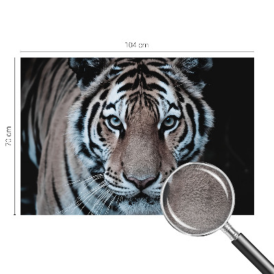 Fotografická tapeta vliesová Portrét tigra