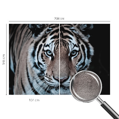 Fotografická tapeta vliesová Portrét tigra