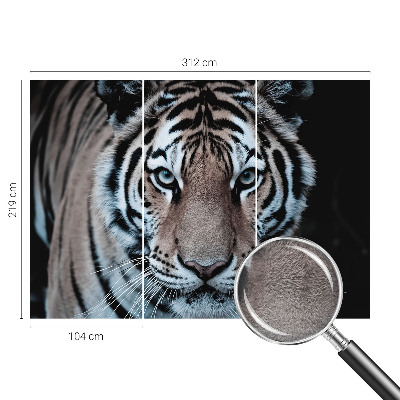 Fotografická tapeta vliesová Portrét tigra