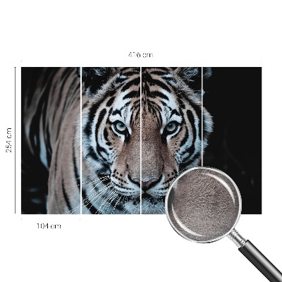 Fotografická tapeta vliesová Portrét tigra