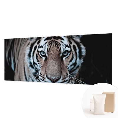 Fotografická tapeta vliesová Portrét tigra