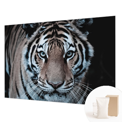 Fotografická tapeta vliesová Portrét tigra