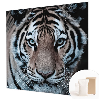 Fotografická tapeta vliesová Portrét tigra