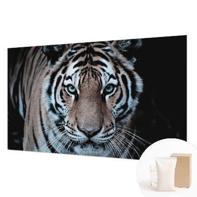 Fotografická tapeta vliesová Portrét tigra