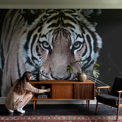 Fotografická tapeta vliesová Portrét tigra