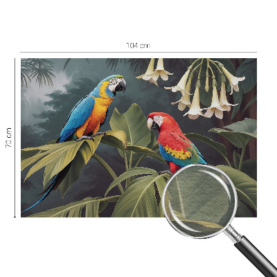 Fototapeta do spálne Farebné papagáje