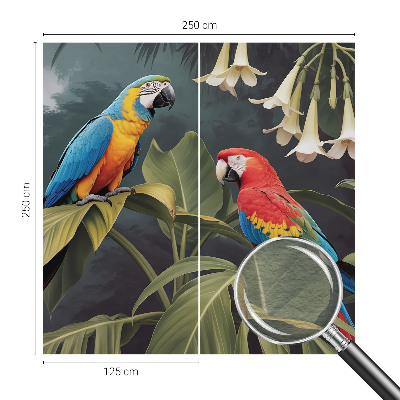 Fototapeta do spálne Farebné papagáje