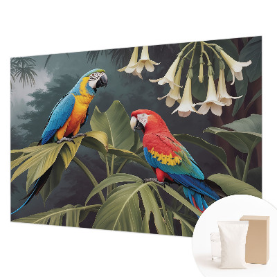 Fototapeta do spálne Farebné papagáje