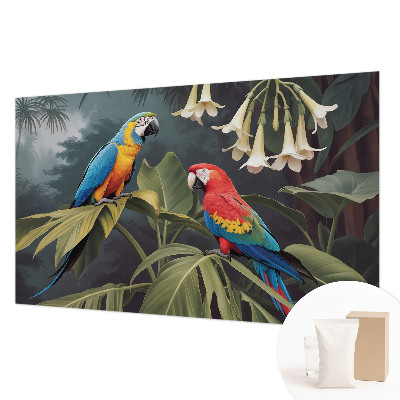 Fototapeta do spálne Farebné papagáje