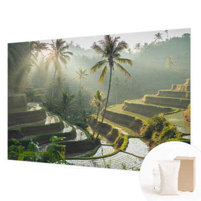 Dekoratívna fototapeta na stenu Rajské terasy