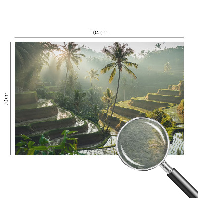 Dekoratívna fototapeta na stenu Rajské terasy