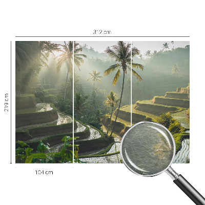 Dekoratívna fototapeta na stenu Rajské terasy