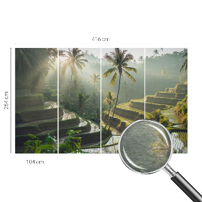 Dekoratívna fototapeta na stenu Rajské terasy