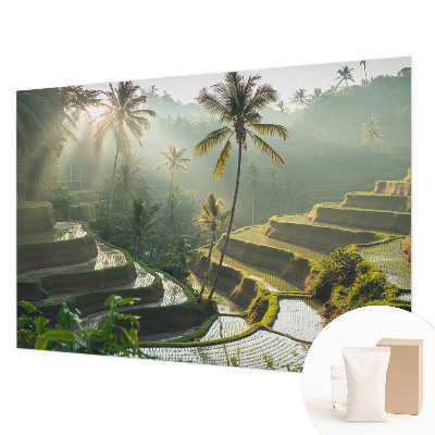 Dekoratívna fototapeta na stenu Rajské terasy