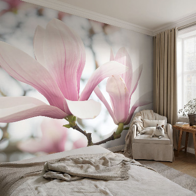 Fototapeta Kvety magnólie