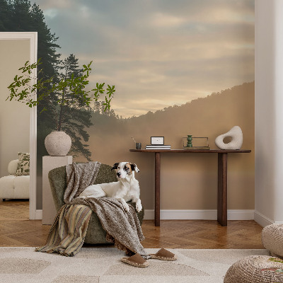 Dekoratívna fototapeta na stenu Hmlisté ráno