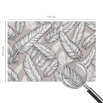 Fototapeta na mieru Jemné pierka