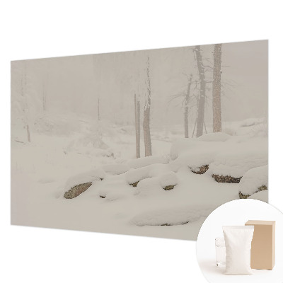 Fototapeta na stenu so vzorom zasneženého lesa
