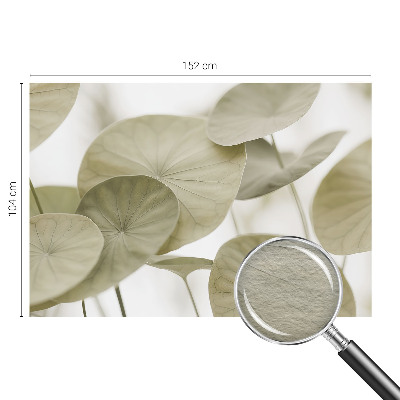 Vliesová fototapeta do spálne Prirodzená elegancia